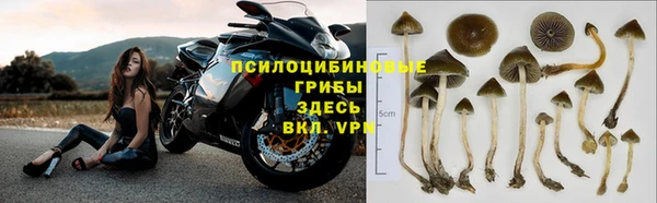 прущий лед Карталы