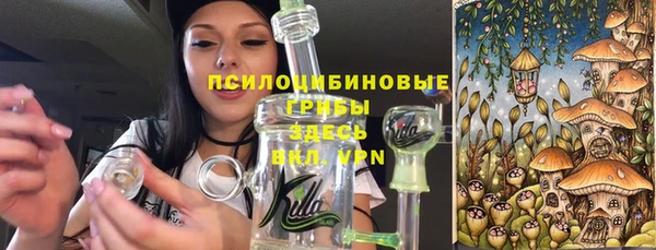 герыч Каменногорск