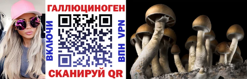Псилоцибиновые грибы Magic Shrooms  Купить  Новочеркасск 